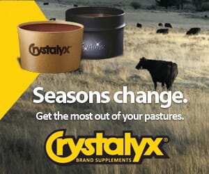 Seasons Change