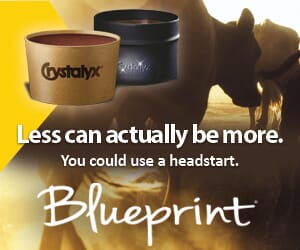 Blueprint