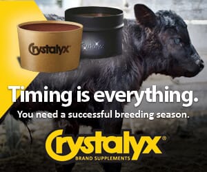 Crystalyx